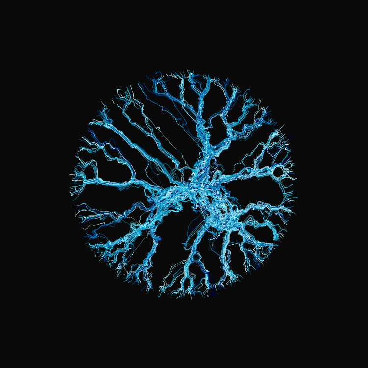 Ginseng #73 static token preview