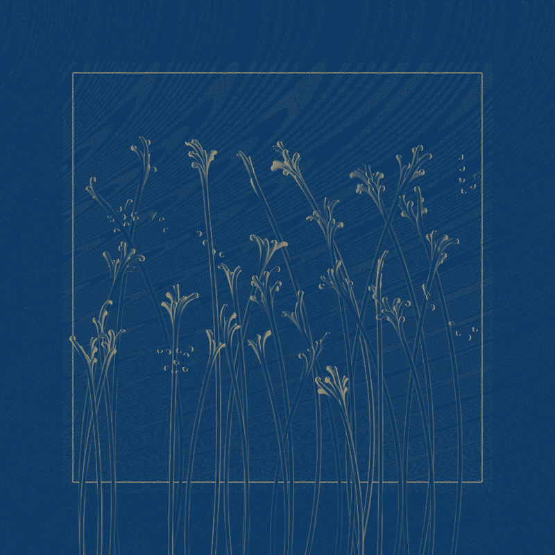 string_pllu #66 static NFT preview