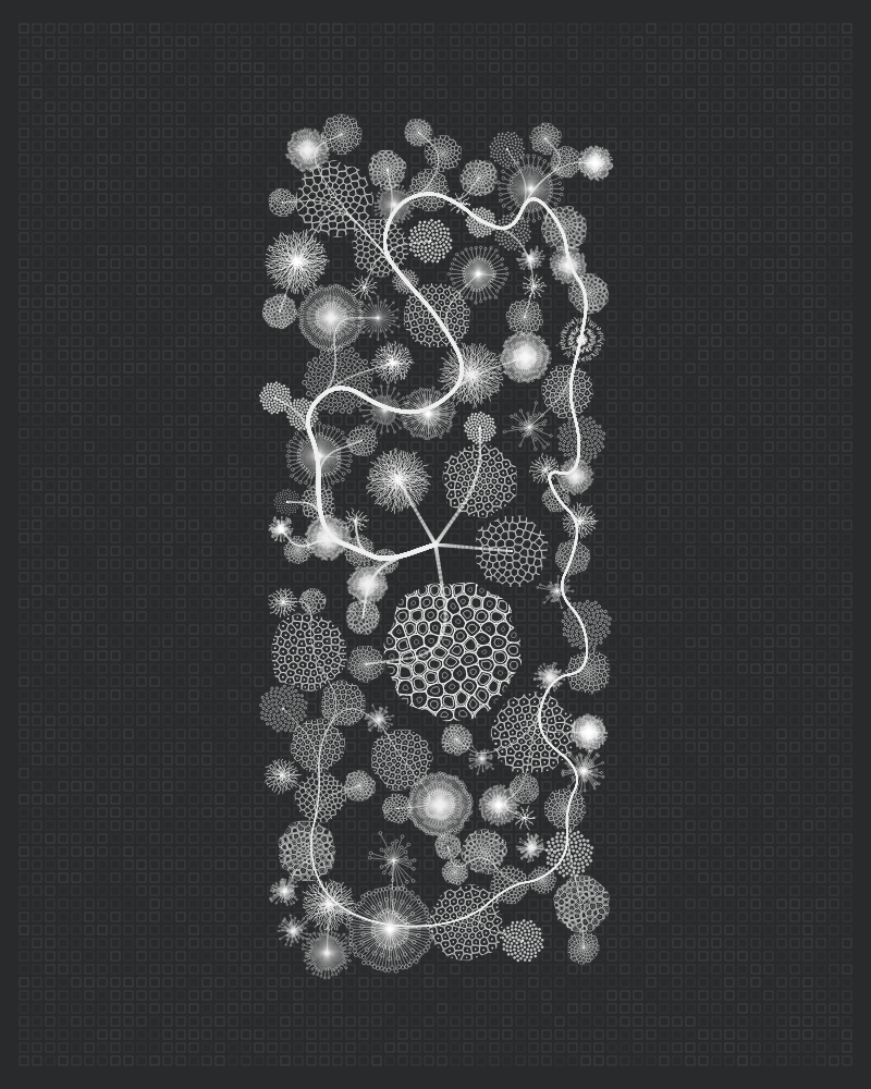 Florilegium #113 static NFT preview