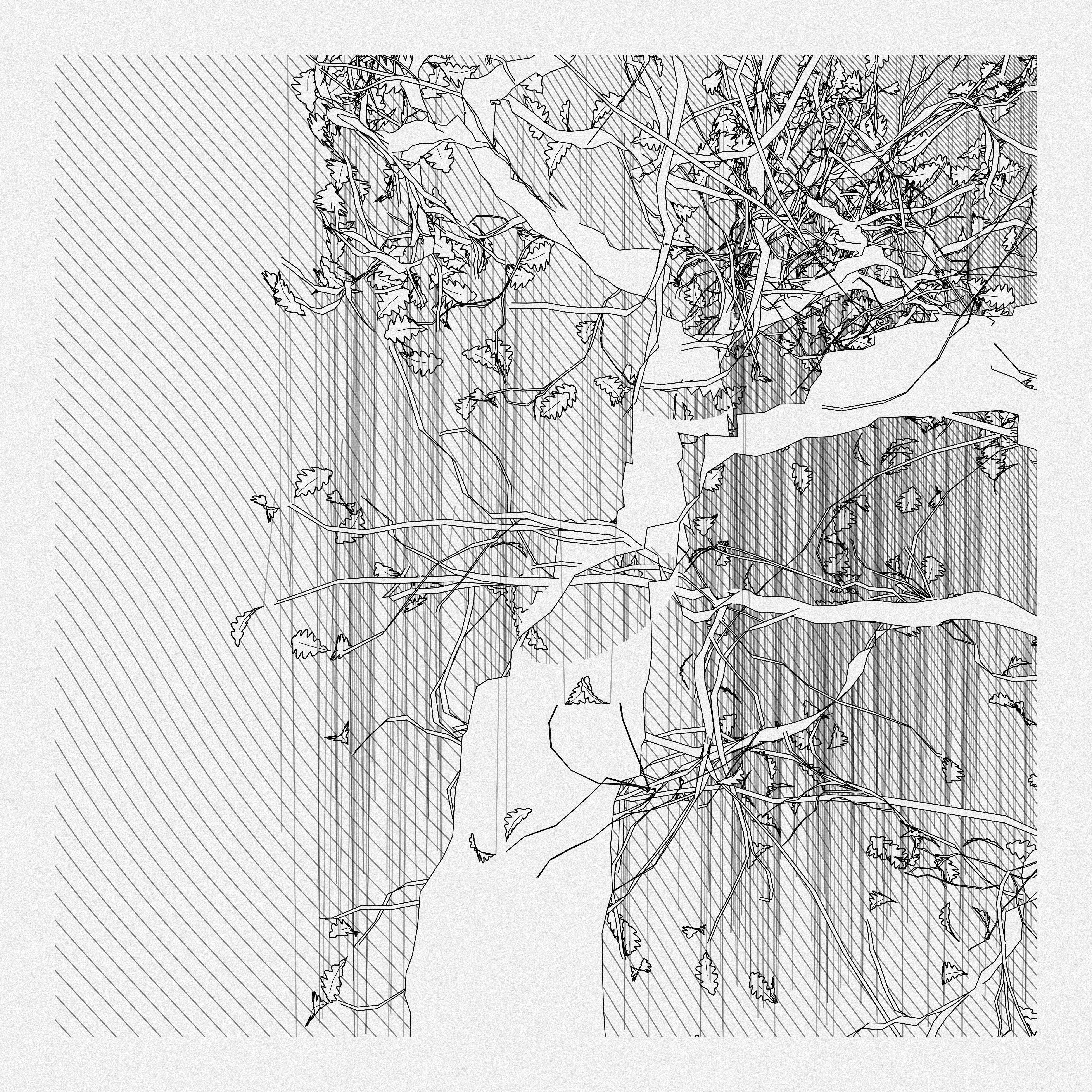 A Bugged Forest #605 static token preview