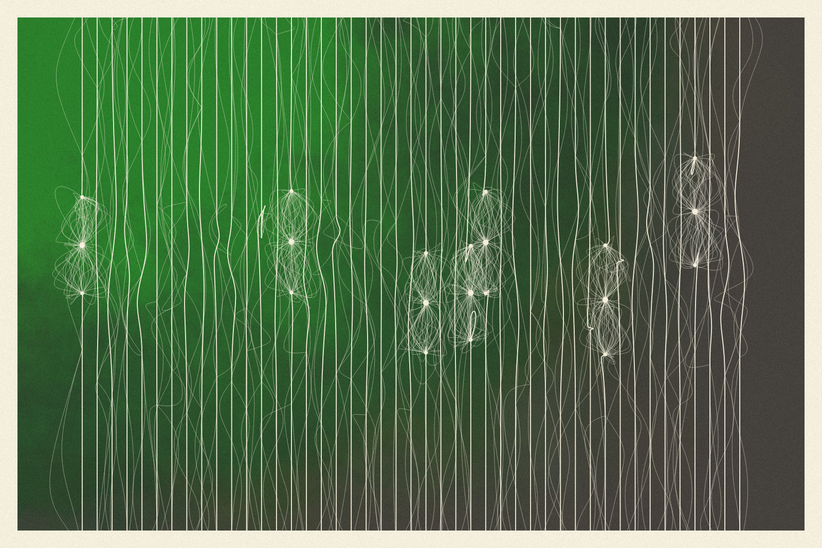 entanglement #98 static NFT preview