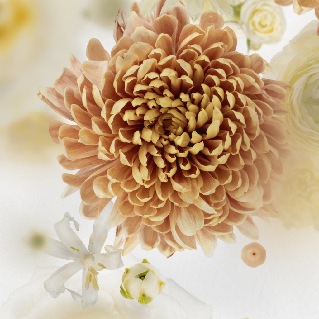 Broken Flowers #2 static token preview