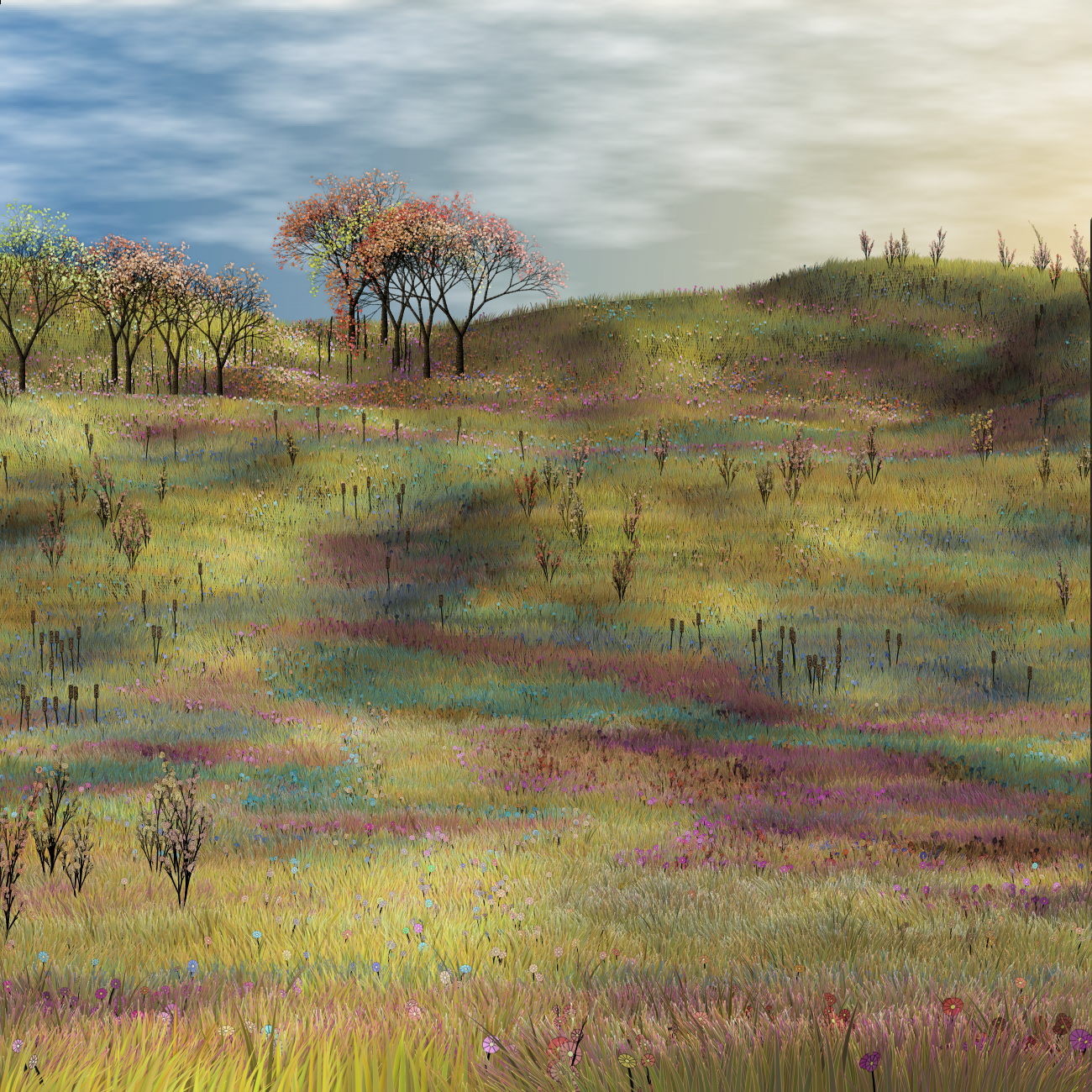 Mediterranean #41 static NFT preview