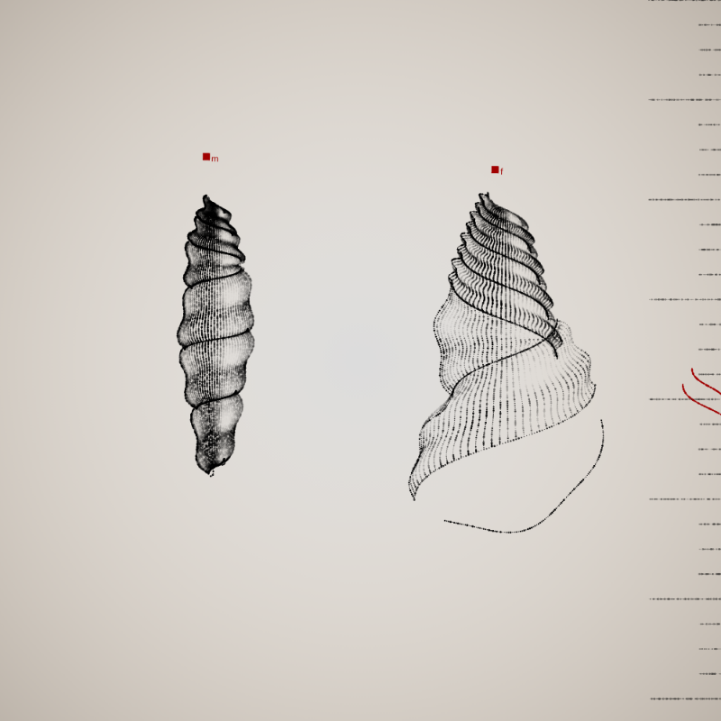 Two Specimen #499 static token preview