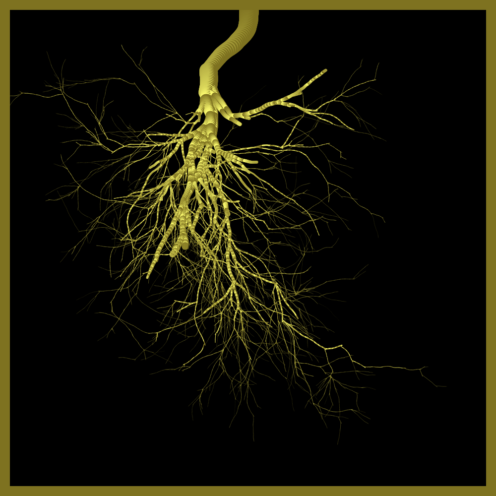 Arbres suspendus #207 static token preview