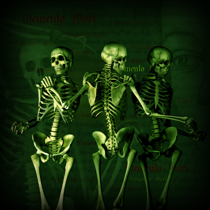 Memento Mori #42 static NFT preview