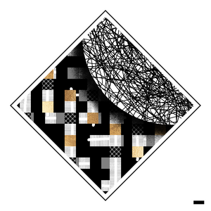 Uncovered project preview