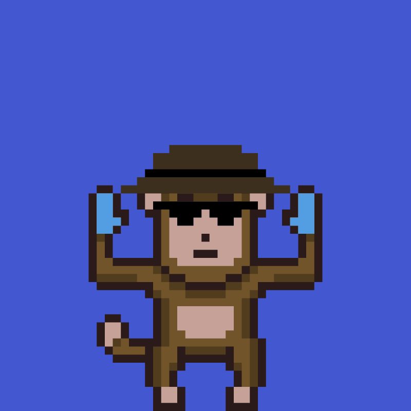 fxMonkeys #113 static NFT preview
