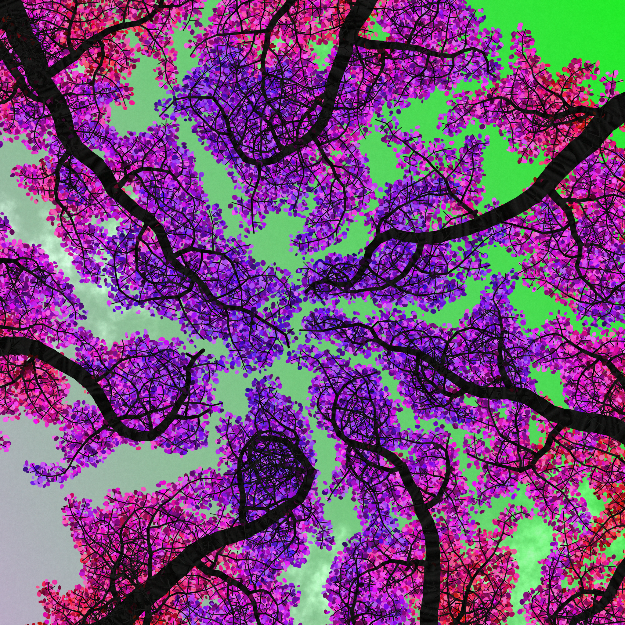 Tree Skyness #100 static token preview