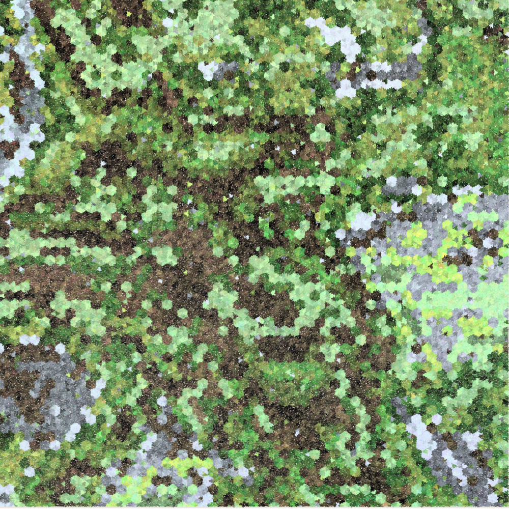 Wildflower & Patchwork #392 static token preview