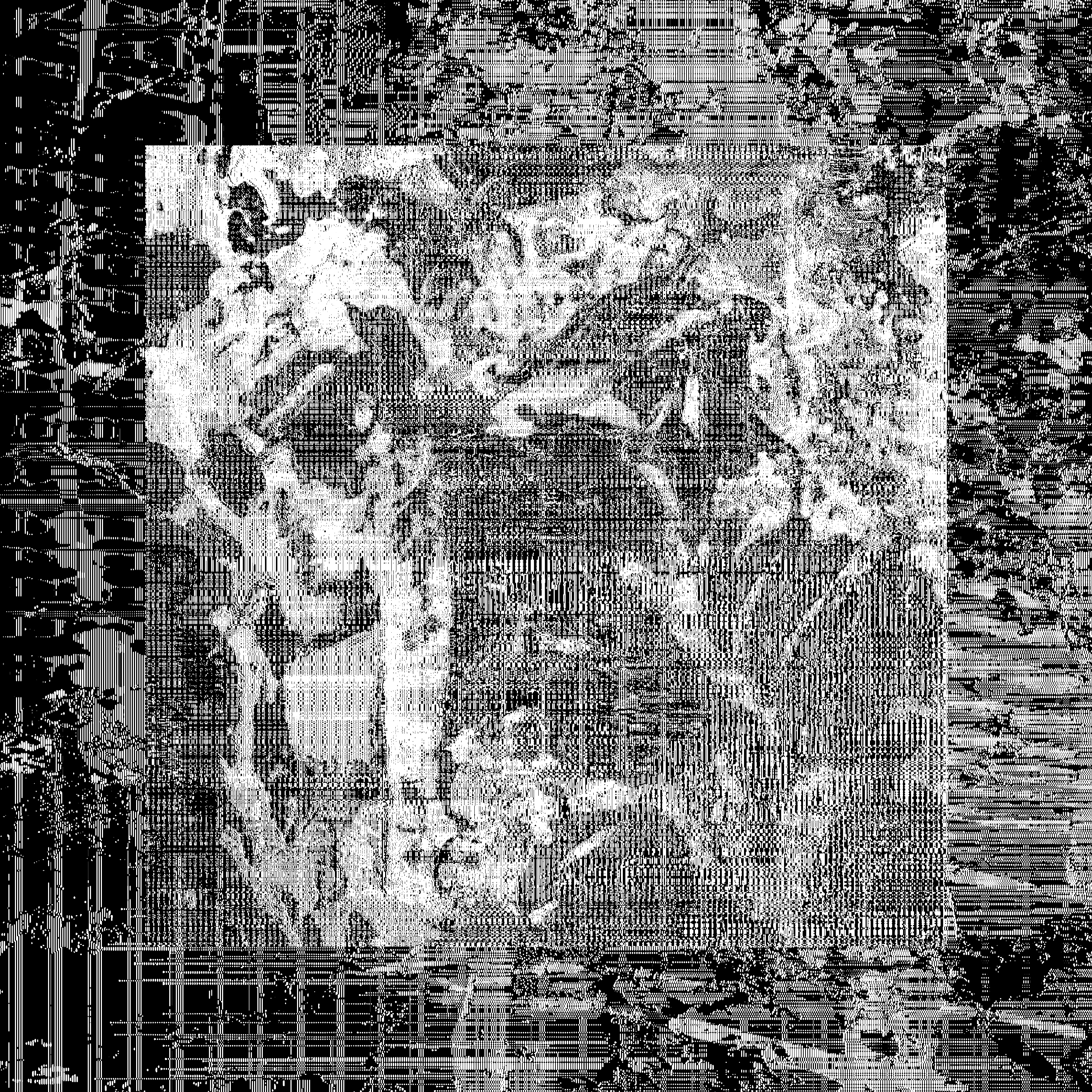 FHX-1 #166 static NFT preview