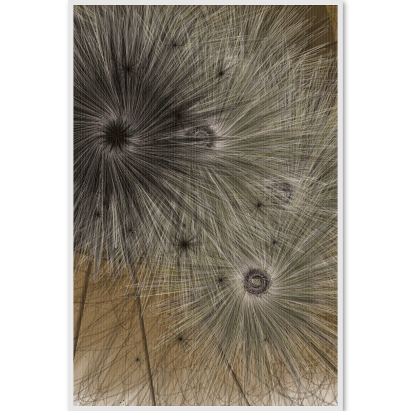 Flowers of gratitude #50 static NFT preview