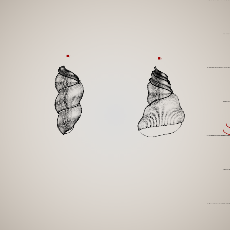 Two Specimen #293 static token preview