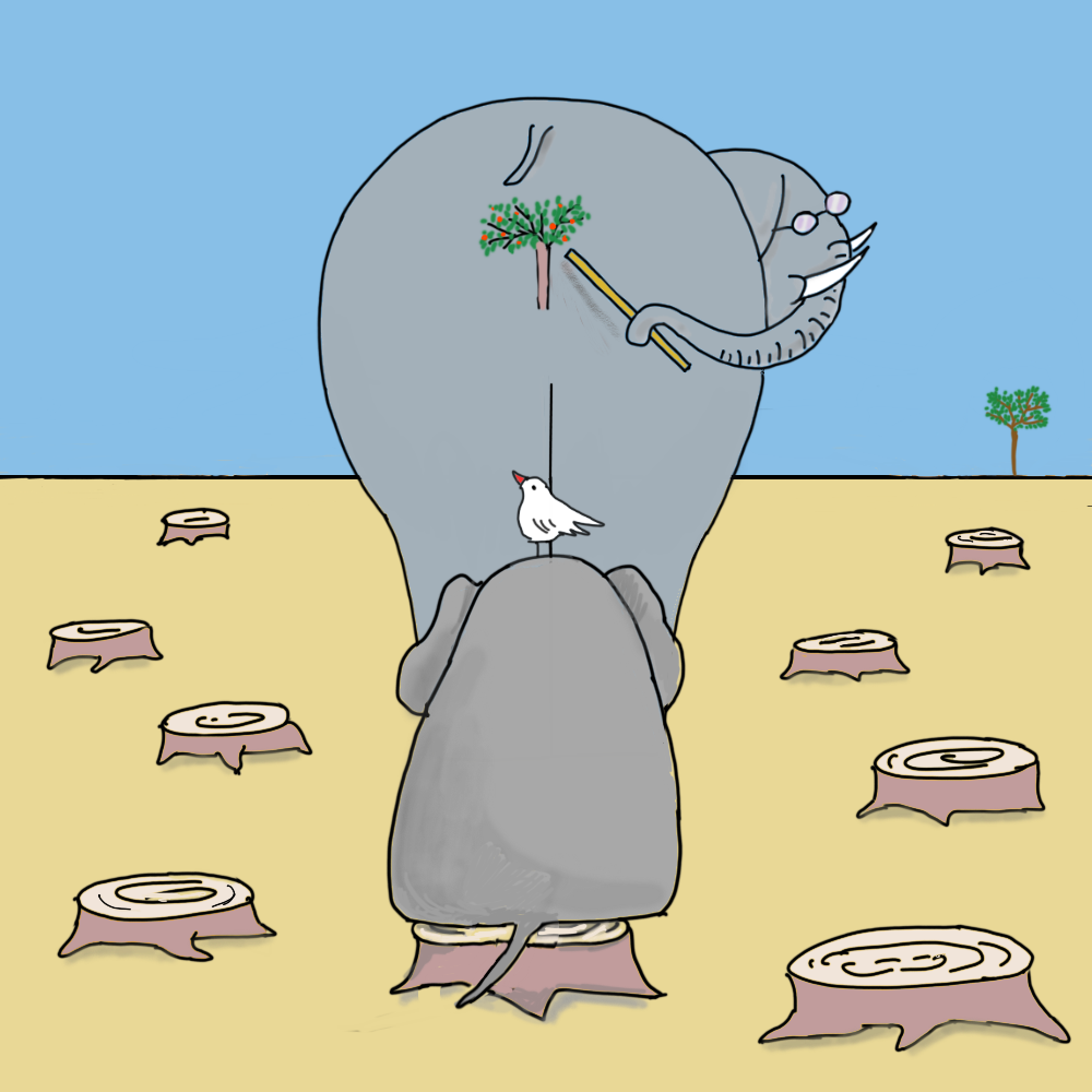 Elephant school #23 static token preview