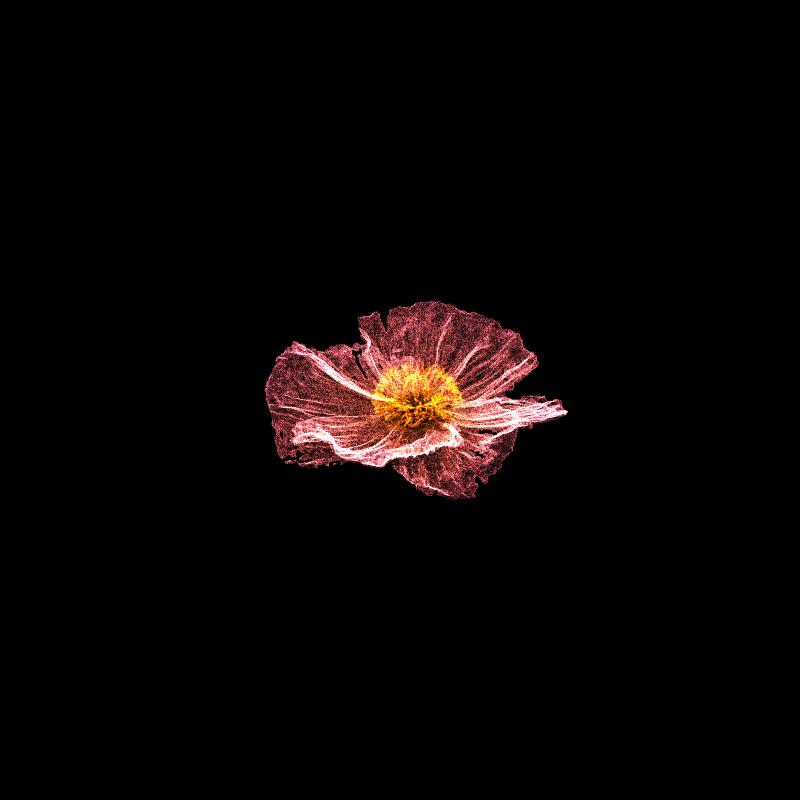 White Poppy 30 #48 static token preview