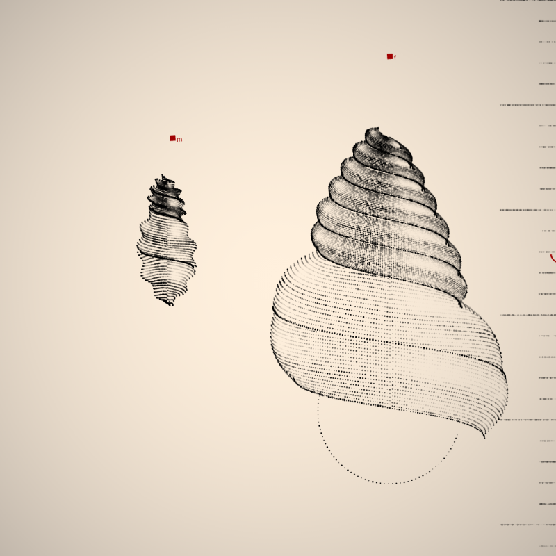 Two Specimen #469 static token preview