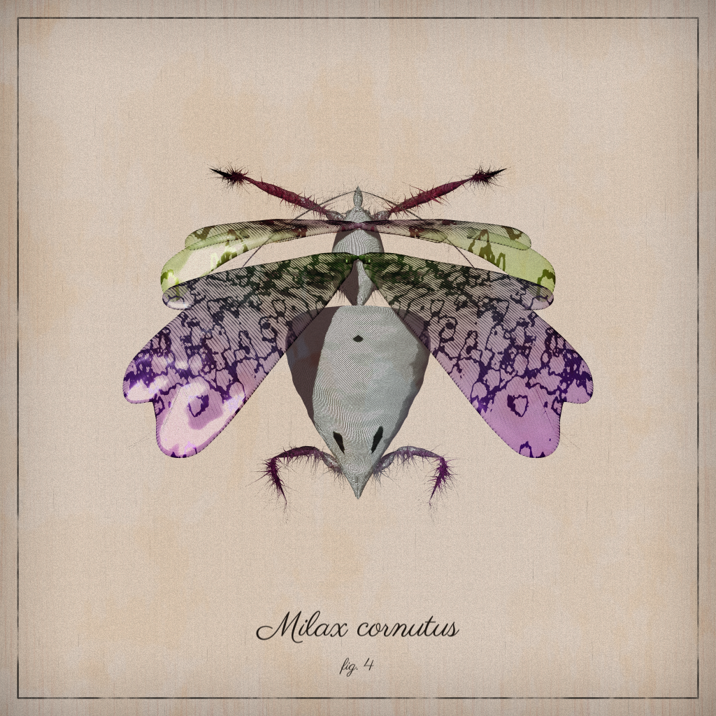 ProcGen Entomology #31 static NFT preview