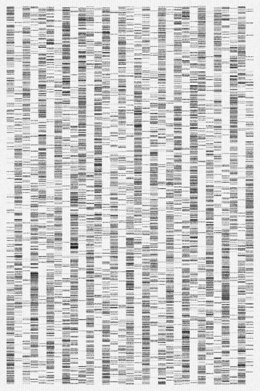 Sequence #362 static token preview