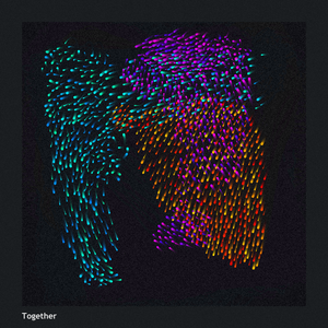 Together project preview