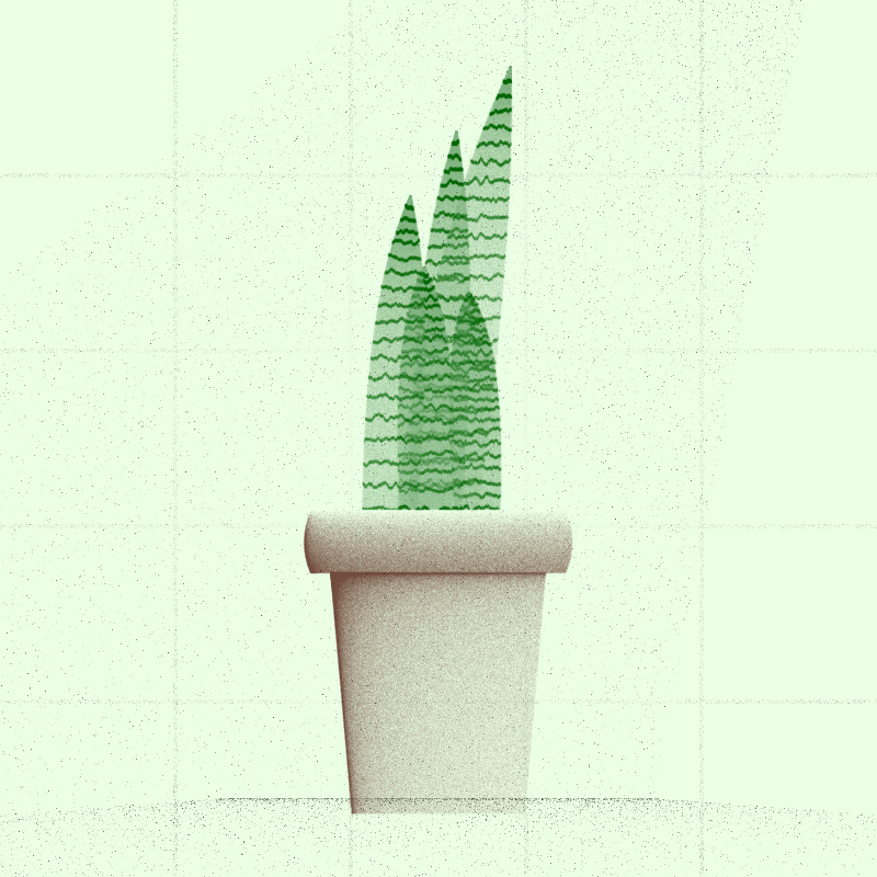 🌱 Potted & Printed #588 static NFT preview