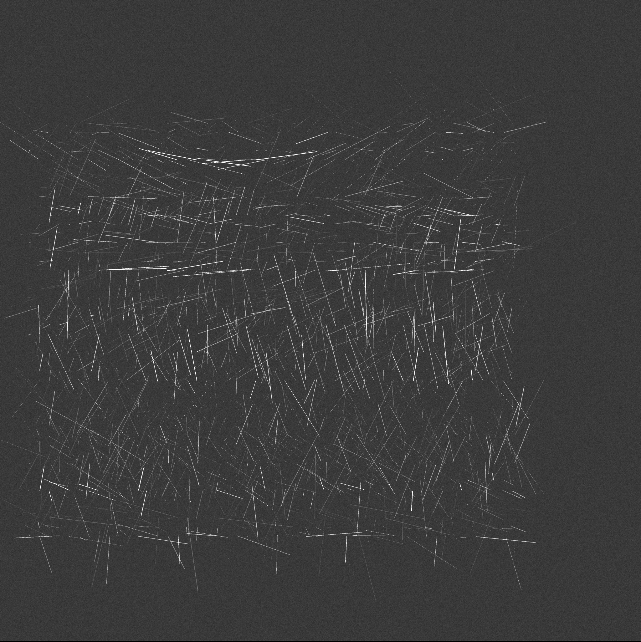 ecologías - A #443 static NFT preview