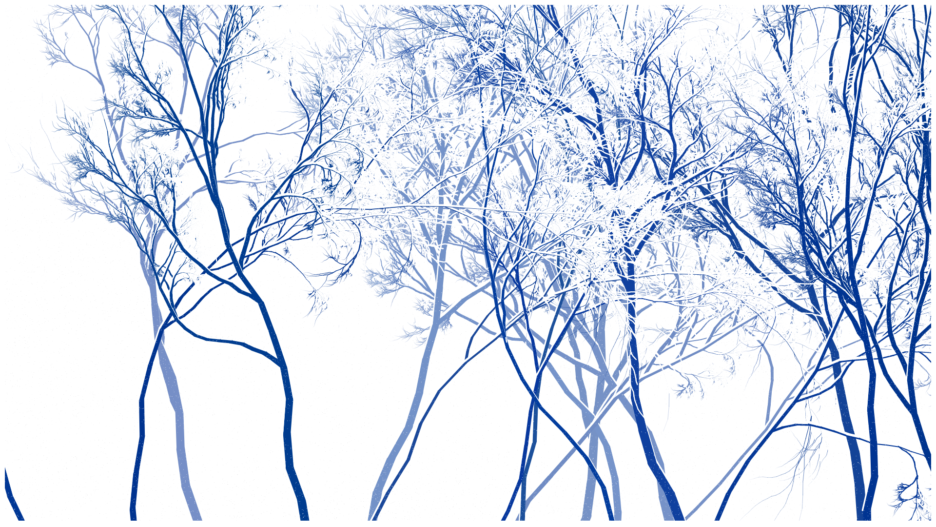 SCHNEEWALD #116 static NFT preview