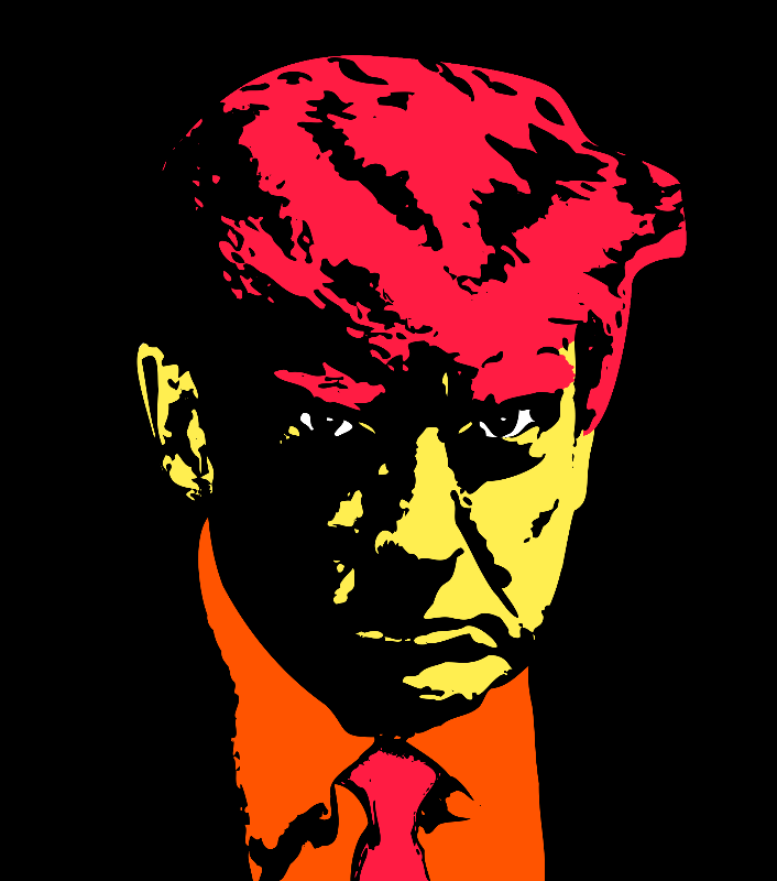 Donald Trump #341 static NFT preview