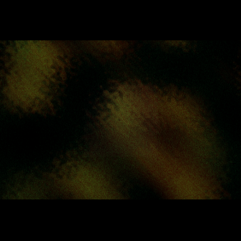 ƧЦBƧƬЯΛƬӨ DΣ PӨΣIЯΛ #14 static token preview