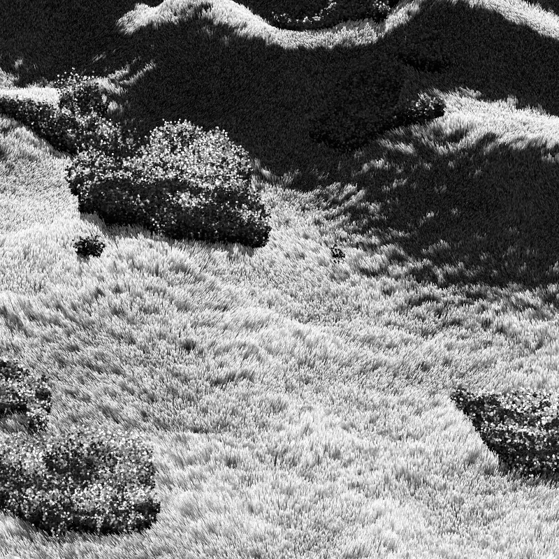 California Hills in Late Sun #78 static NFT preview