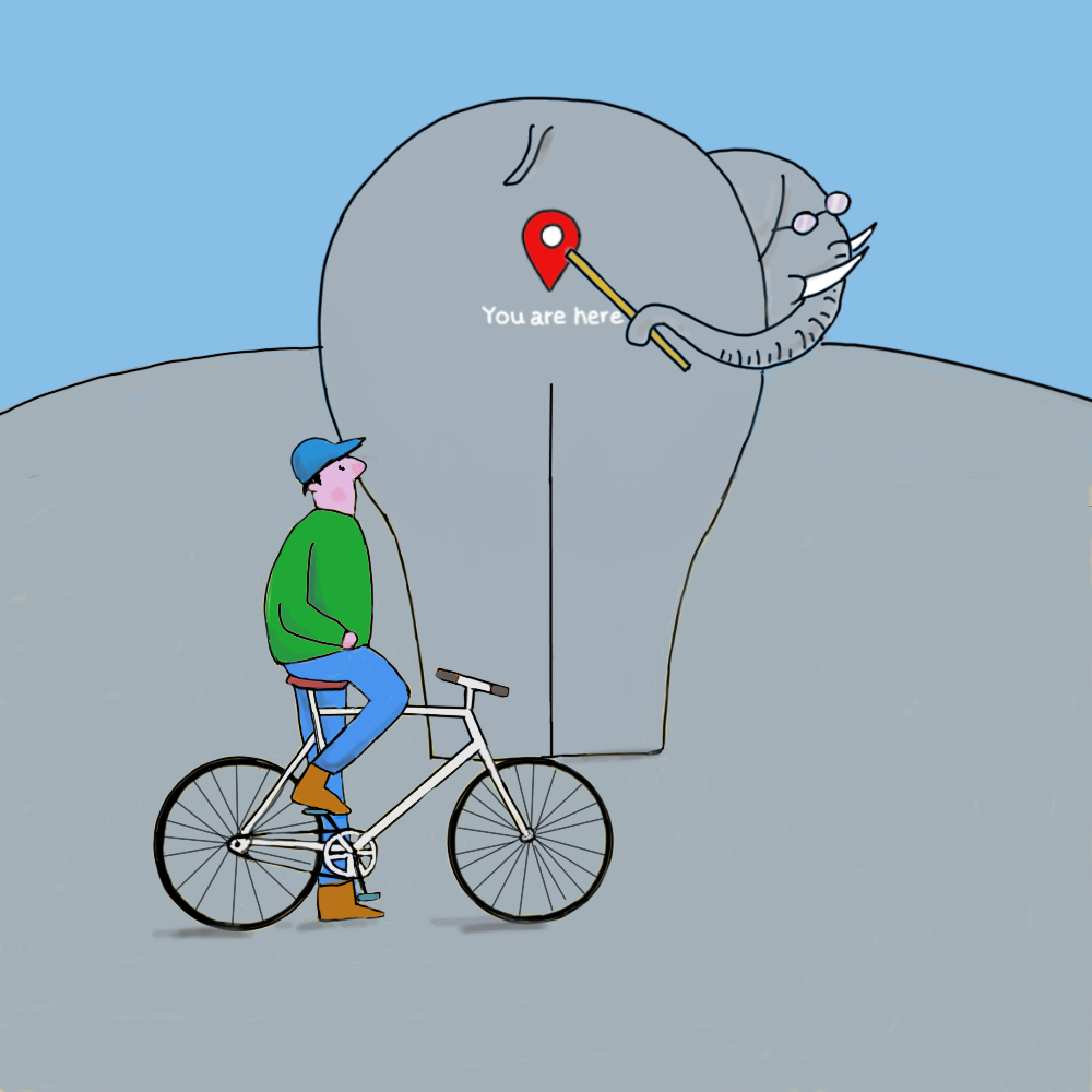 Elephant school #43 static token preview