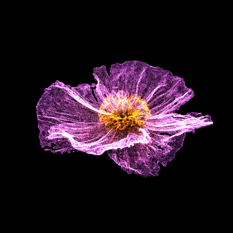 White Poppy 30 #255 static token preview