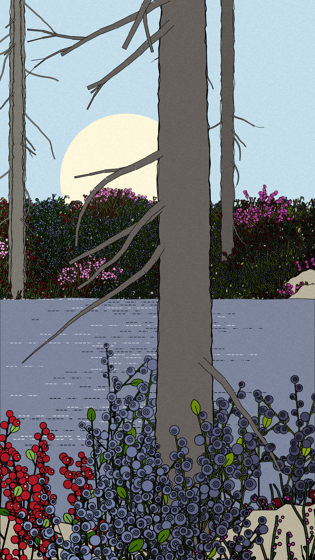 Swedish Forest #44 static NFT preview