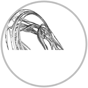 LL21 Fractal Contour #122 static NFT preview