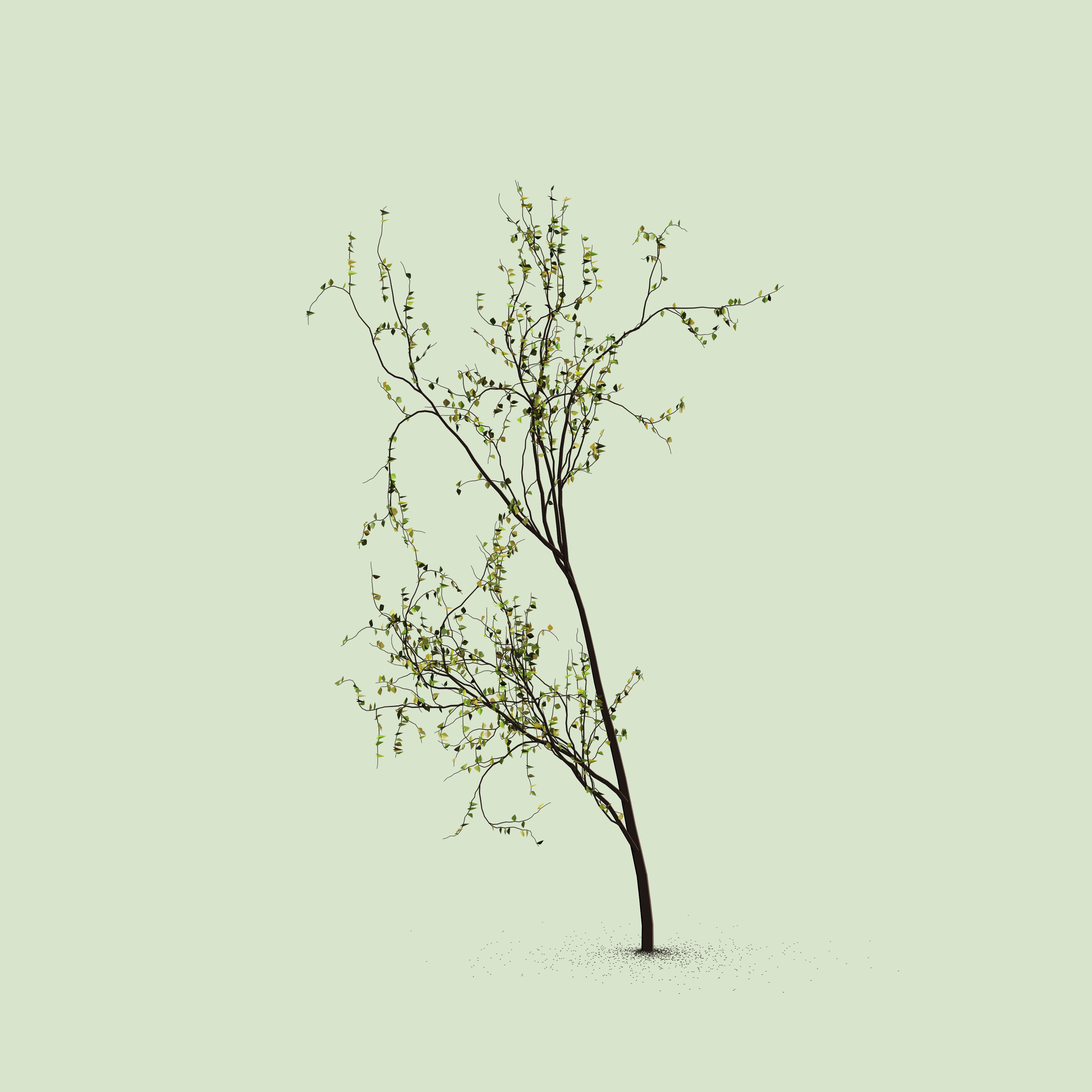 Little Trees #202 static token preview