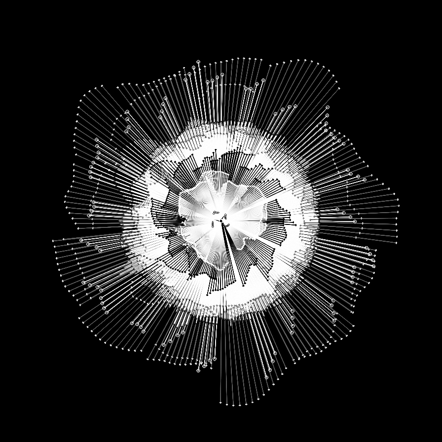 Camellia #18 static token preview