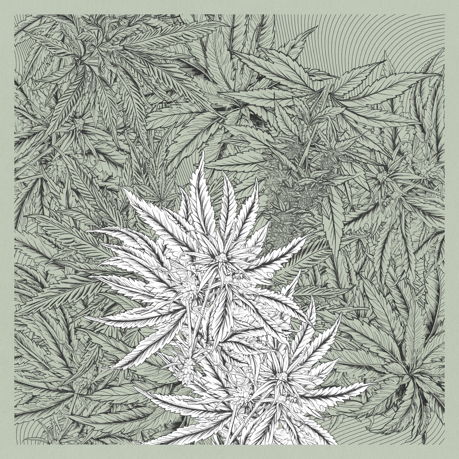 zancannabis #68 static NFT preview