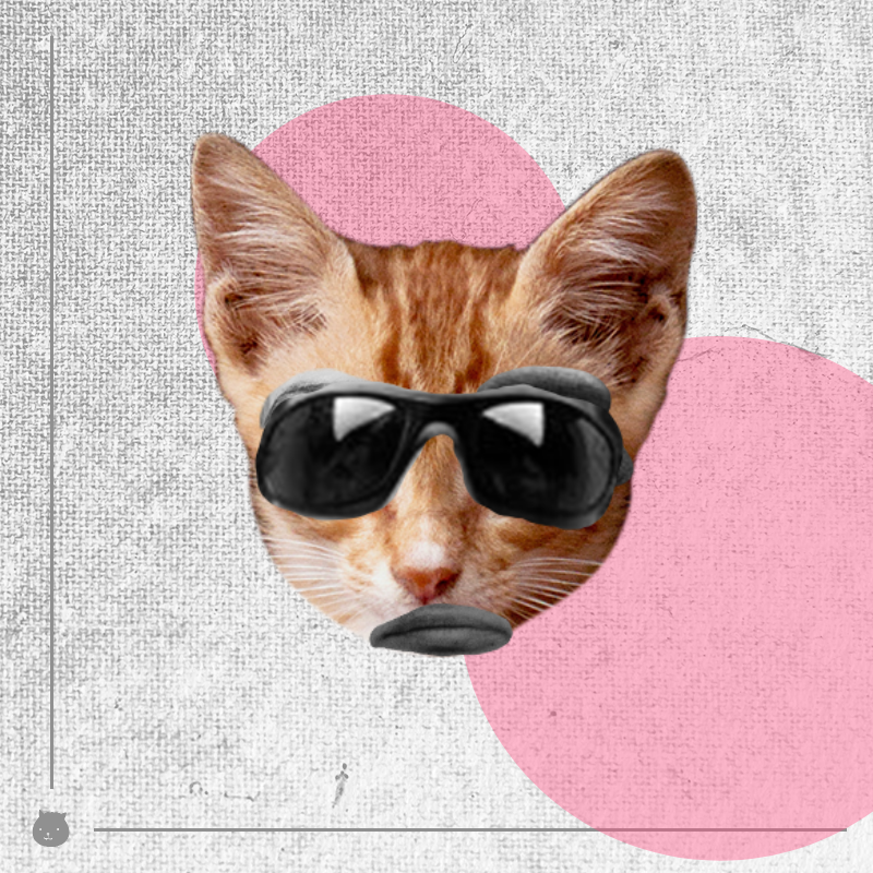 Kittenstein #15 static token preview