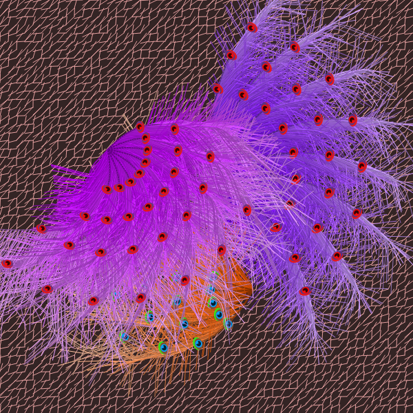 Oriental Peafowl Impression #13 static token preview
