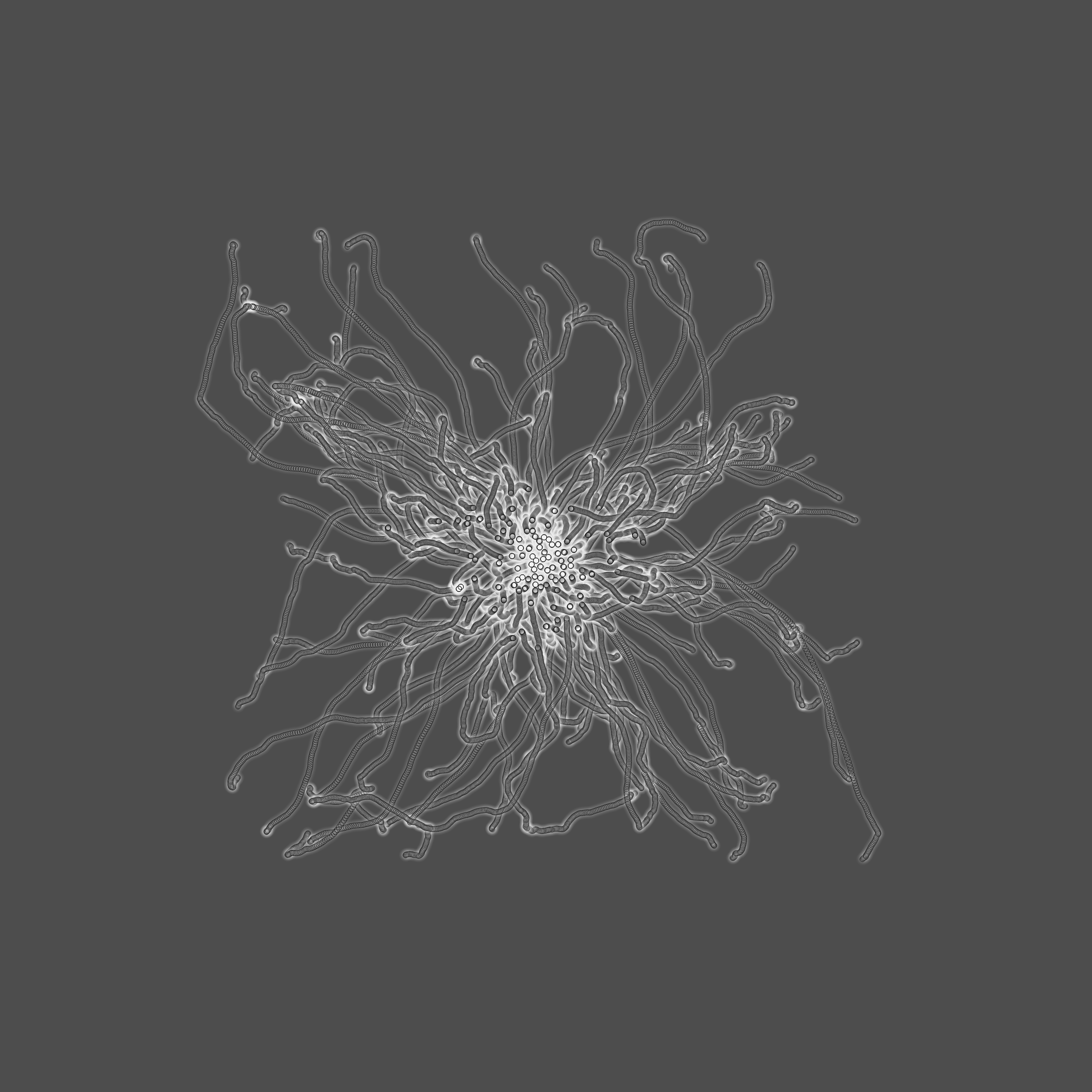 grey fungi wisdom #37 static token preview