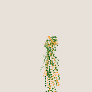 pollocian fibs project preview