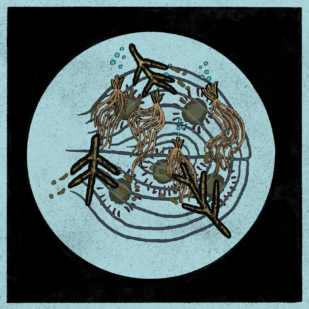 Microbes #28 static token preview