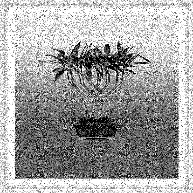Bonsai Bonanza #274 static token preview