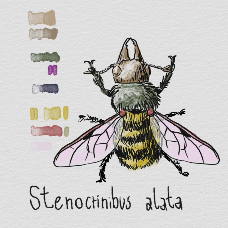 Randomic Fauna1 #33 static NFT preview