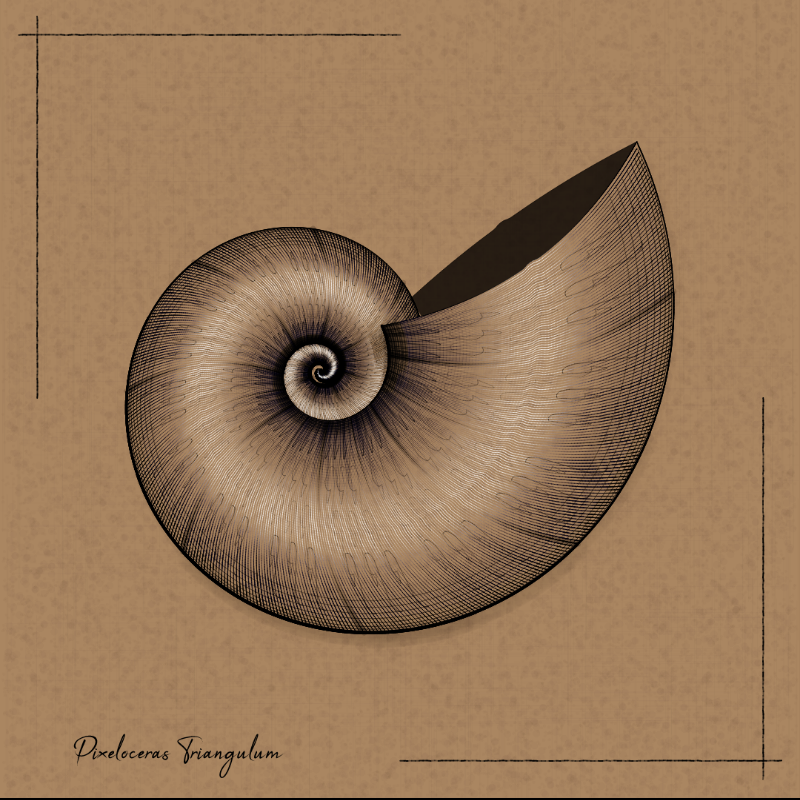 Ammonites #54 static NFT preview