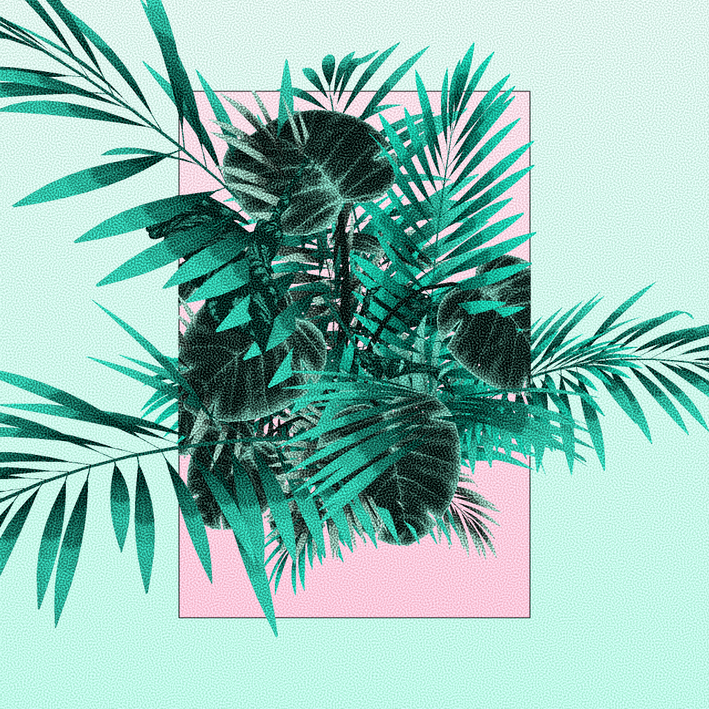 Botany #65 static token preview