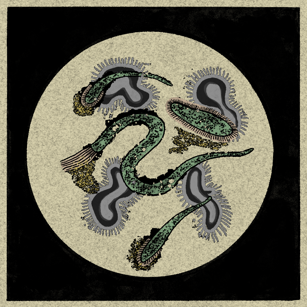 Microbes #84 static NFT preview