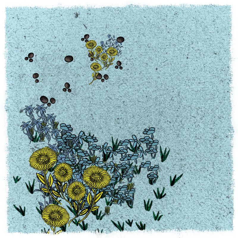 Gardens #95 static NFT preview