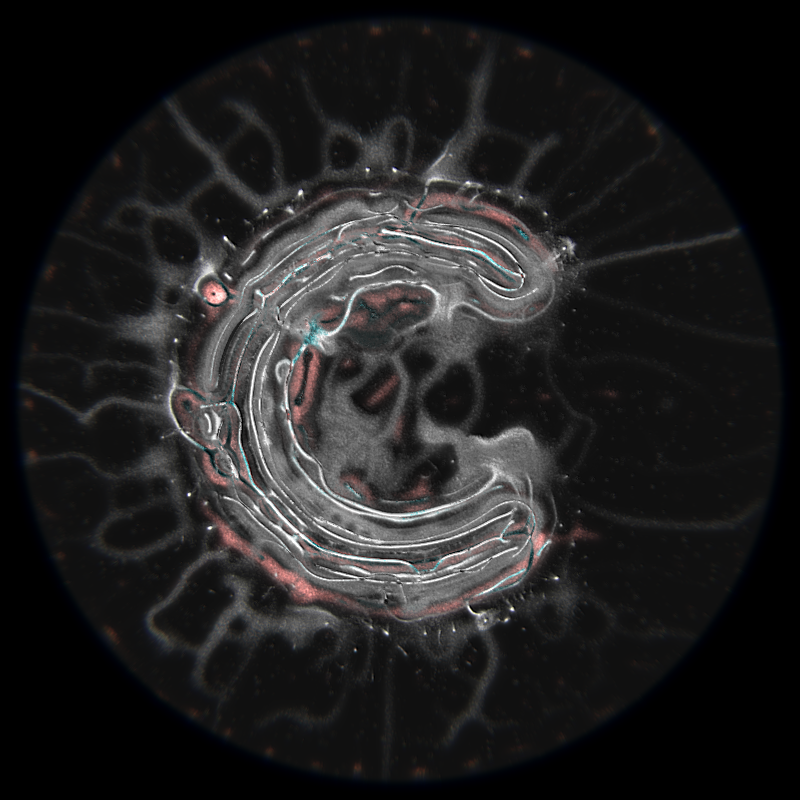 Ethereal Microcosm #127 static NFT preview