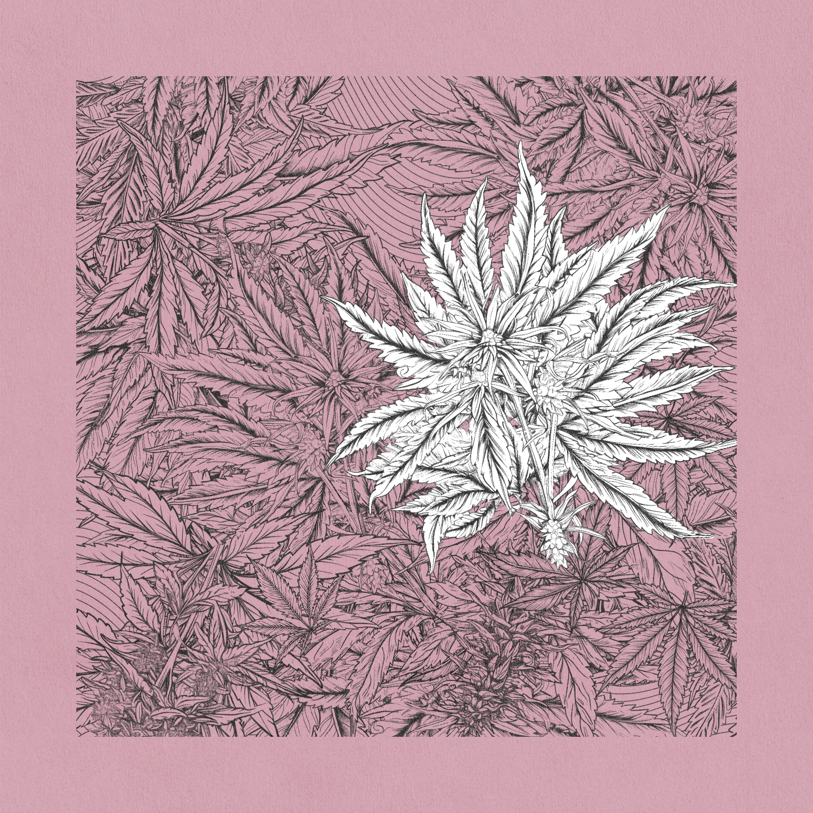 zancannabis #217 static token preview