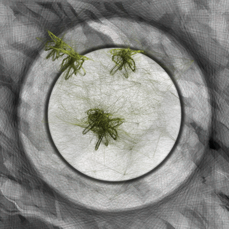 Herbarium Invaders #216 static NFT preview